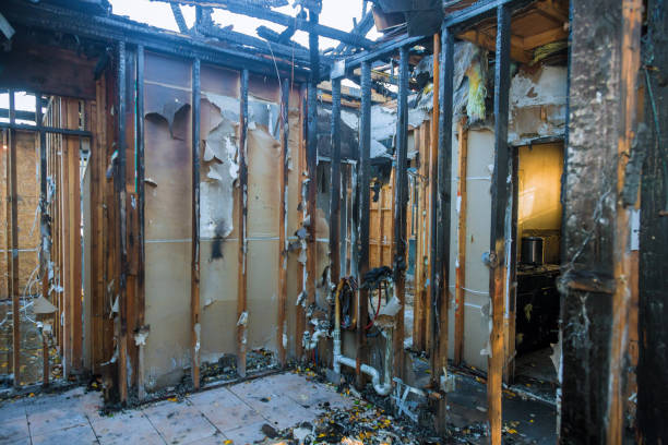 Professional Smoke Damage Removal technician working in Fork, MD