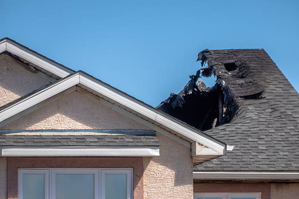 Top rated local Smoke Damage Removal specialists in Fork, MD
